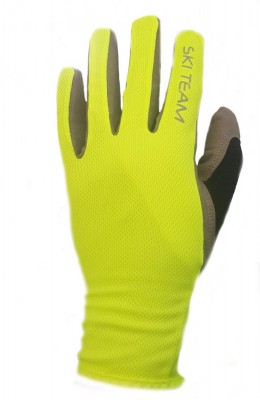 перчатки SKI-TEAM S1901LG