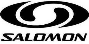 salomon wb logo